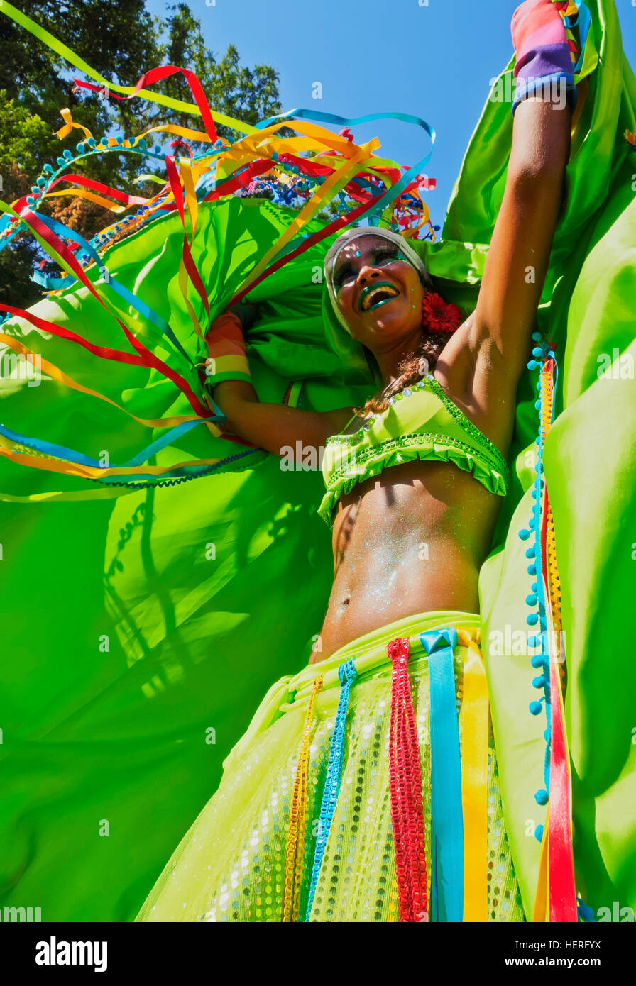 Mujer en el tradicional desfile de carnaval, Bloco das Carmelitas, Santa Teresa, Rio de Janeiro, Brasil Foto de stock