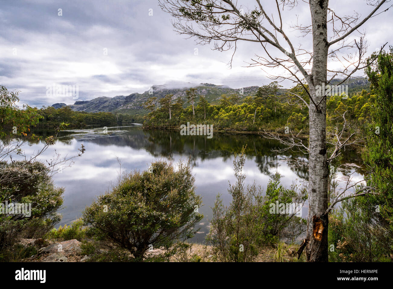 Por la mañana la vista del lago Rosebery, Tullah, Tasmania, Australia Foto de stock