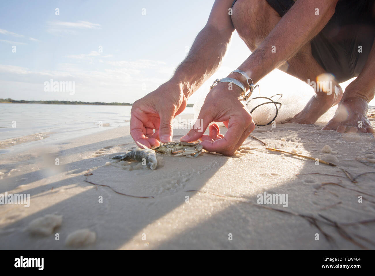 Hombre liberando los cangrejos y peces de net, Fort Walton Beach, Florida, EE.UU. Foto de stock