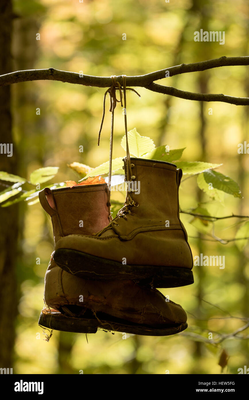 Abandonded par de botas de trabajo colgando de una rama de árbol en las  Green Mountains de Vermont Fotografía de stock - Alamy