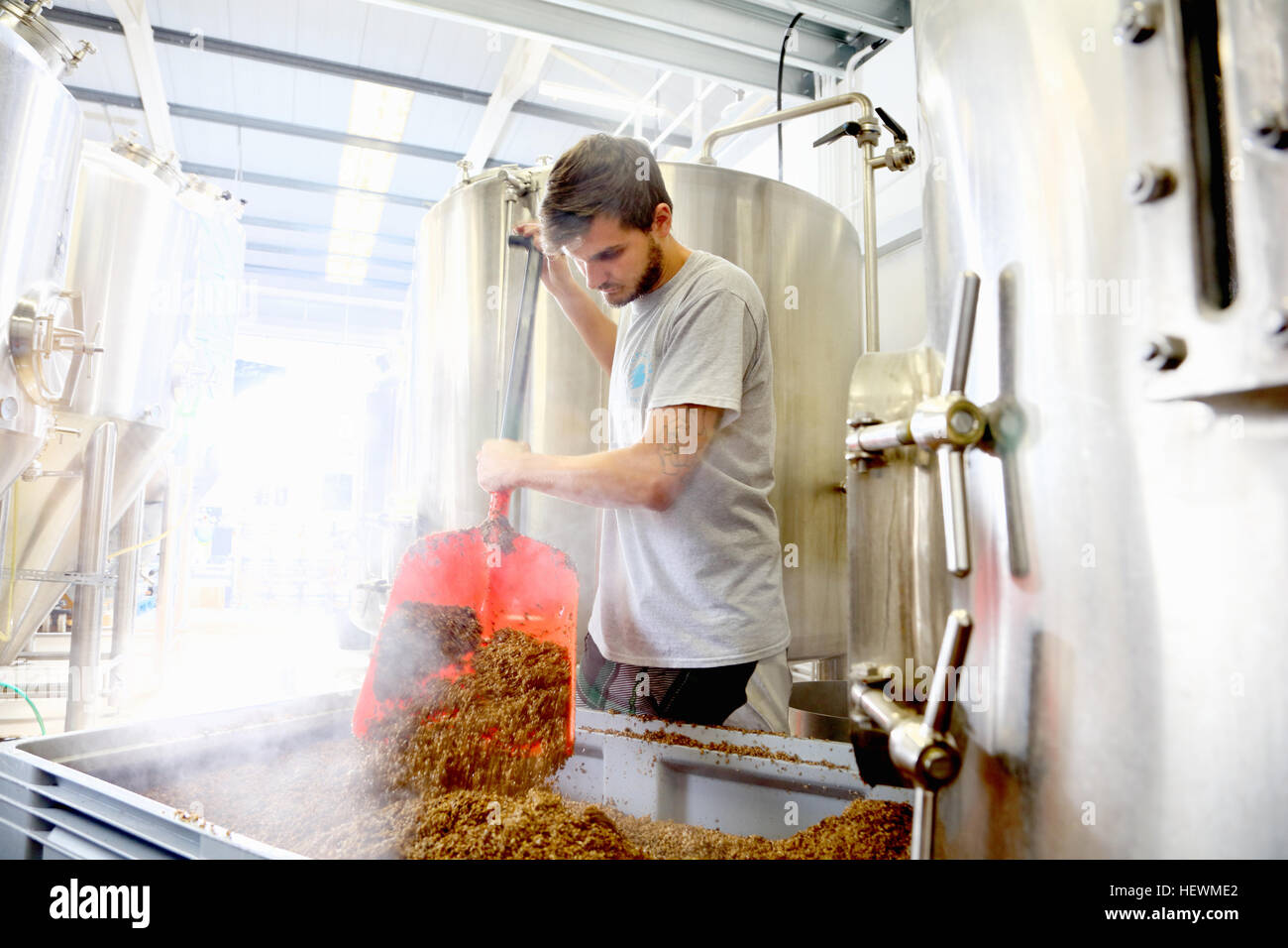 Trabajador de cervecería, vaciando los granos de mash tun Foto de stock