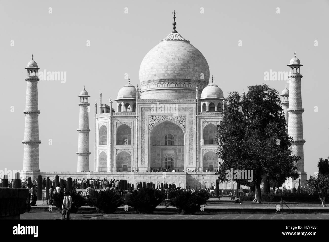 Taj Mahal, patrimonio mundial de la unesco, Agra, India. Foto de stock