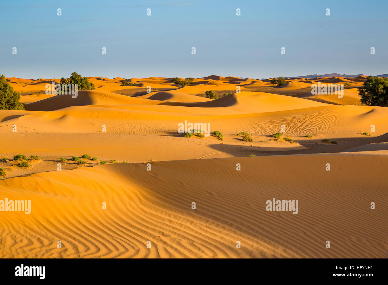 Las dunas de arena del desierto del Sahara, cerca de Merzougha en Marruecos Foto de stock