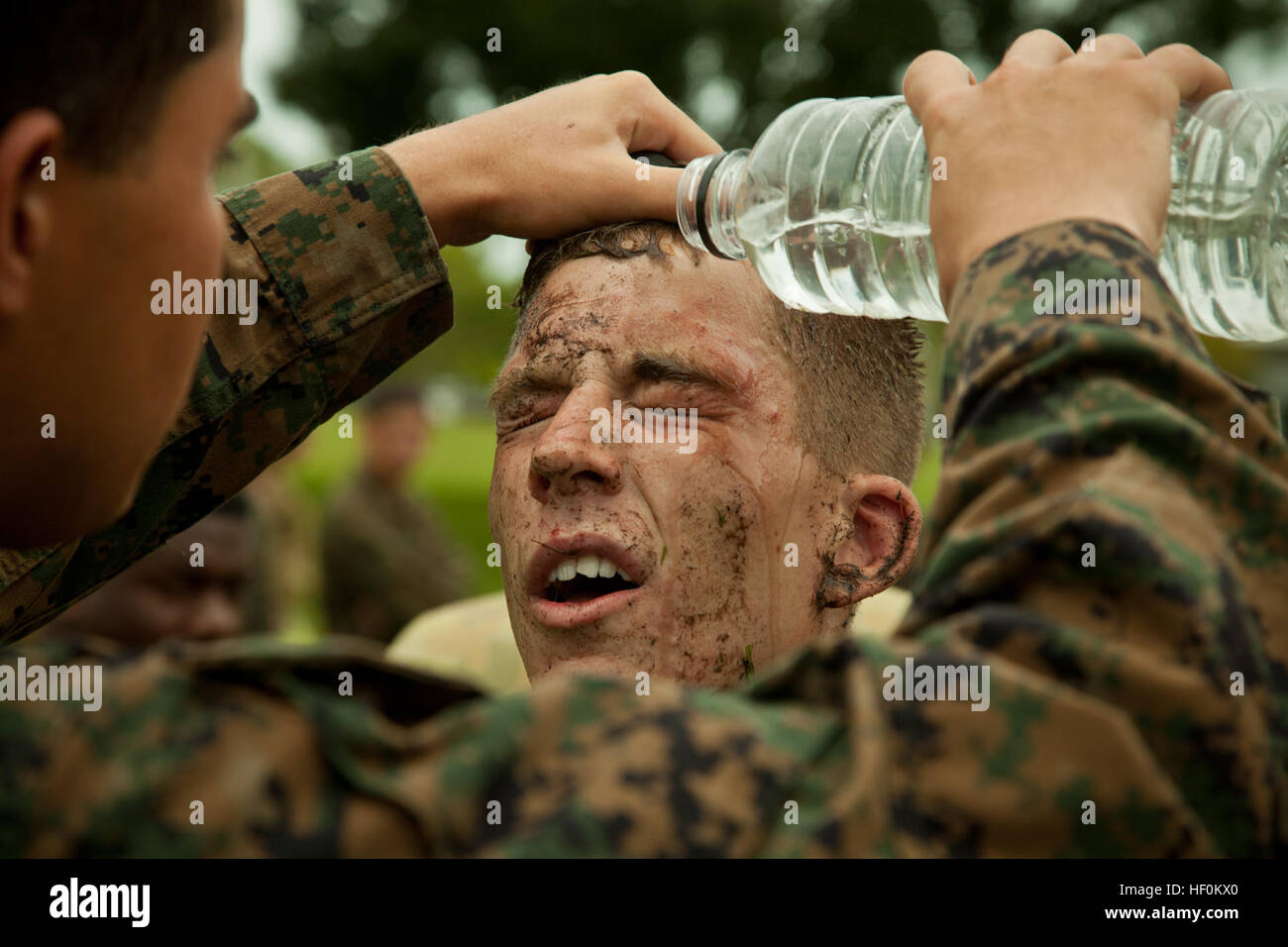 Royal norfolk regiment fotografías e imágenes de alta resolución Alamy