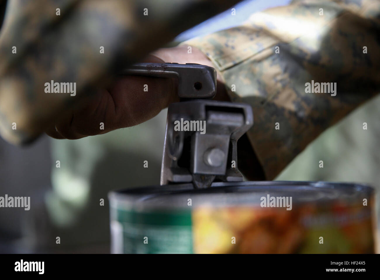 add bolsagage to lufthansa flight