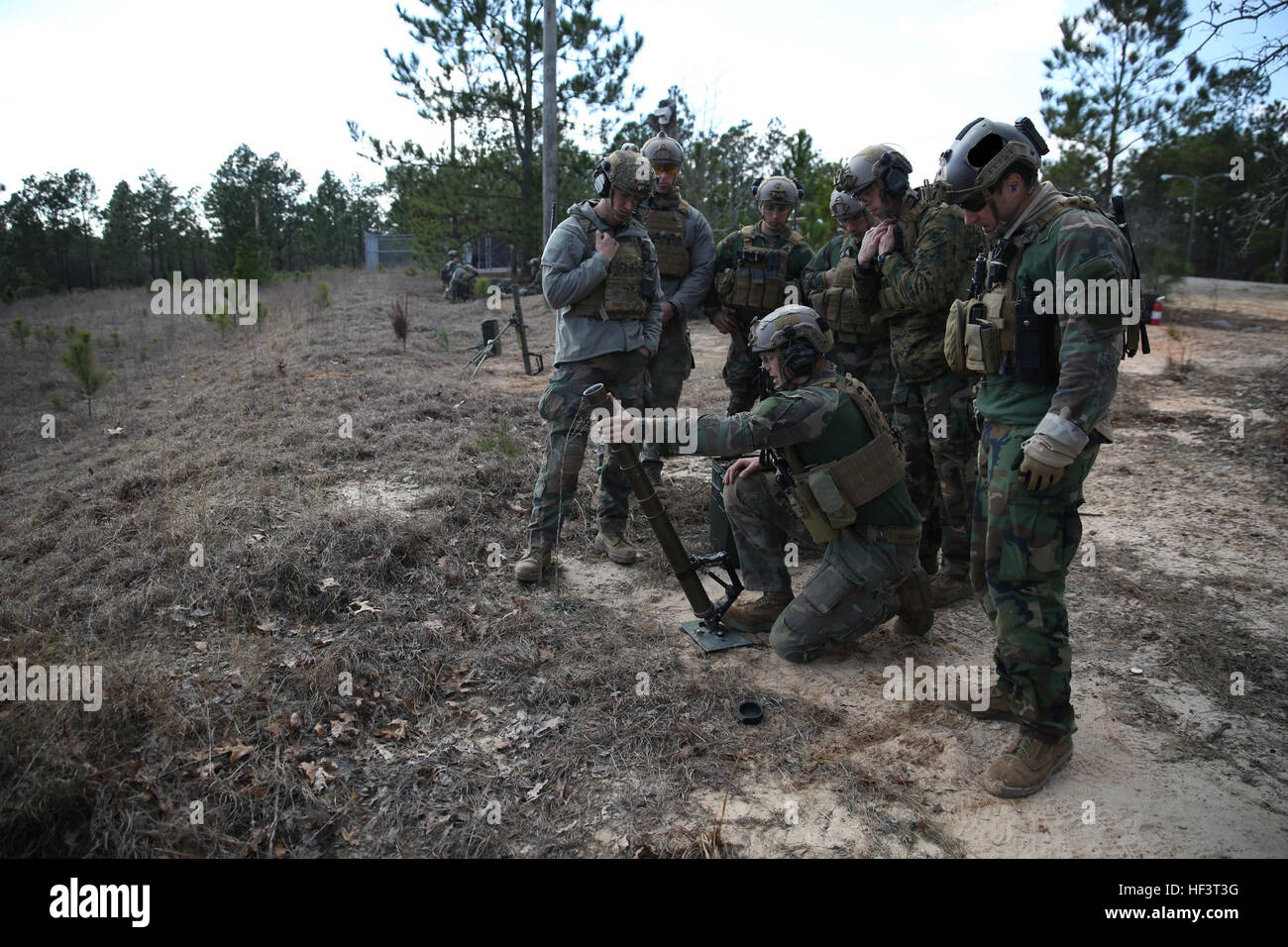 Los Marines Raiders de la empresa F, 2d Marine Raider Batallón, perfeccionaron sus habilidades disparando morteros de 60 milímetros durante un ejercicio colectivo de la empresa en Fort Jackson, Carolina del Sur, el 25 de febrero de 2016. 2d MRB Raiders' habilidades probadas en CCE 160225-M-LS286-005 Foto de stock