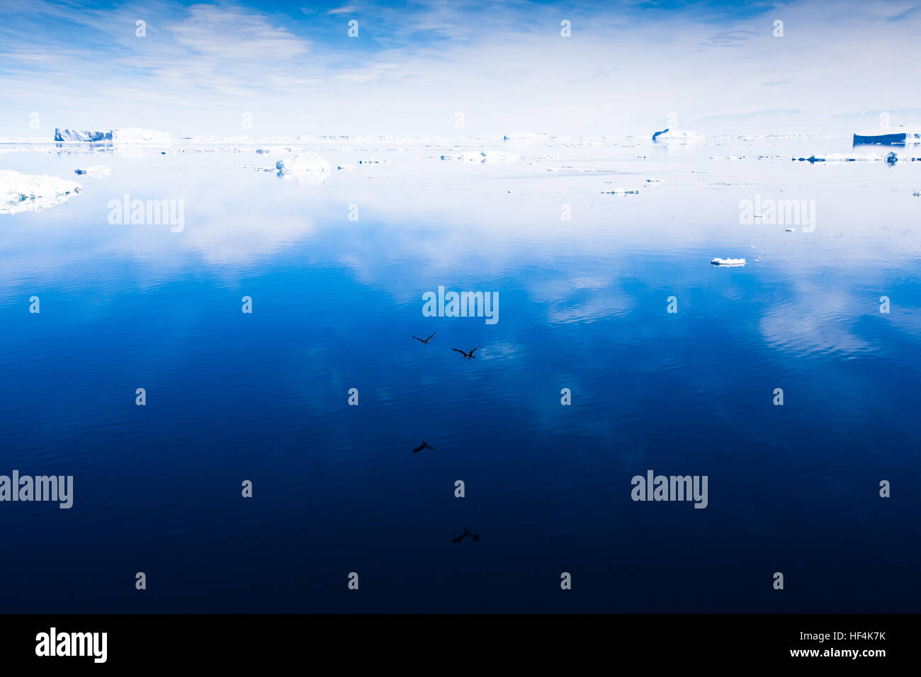Excepcionalmente tranquilas aguas en el mar de Weddell reflejan un cielo azul y dos de baja Flying Blue Eyed cormoranes, la Antártida Foto de stock