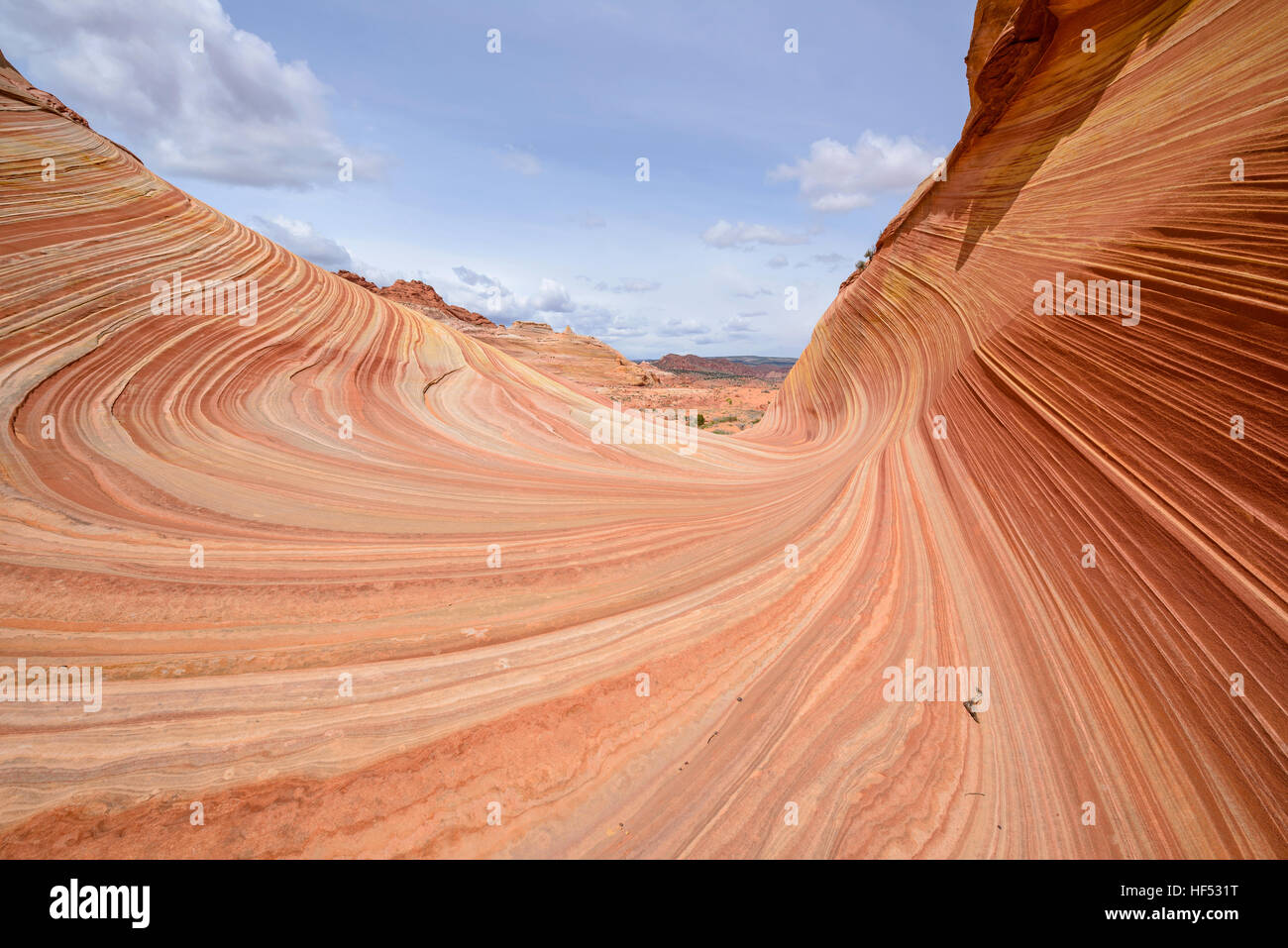 Onda de arenisca roja - Colorida y remolinos de rocas areniscas en la ola, una espectacular formación rocosa arenisca de erosión, Utah, EE.UU. Foto de stock