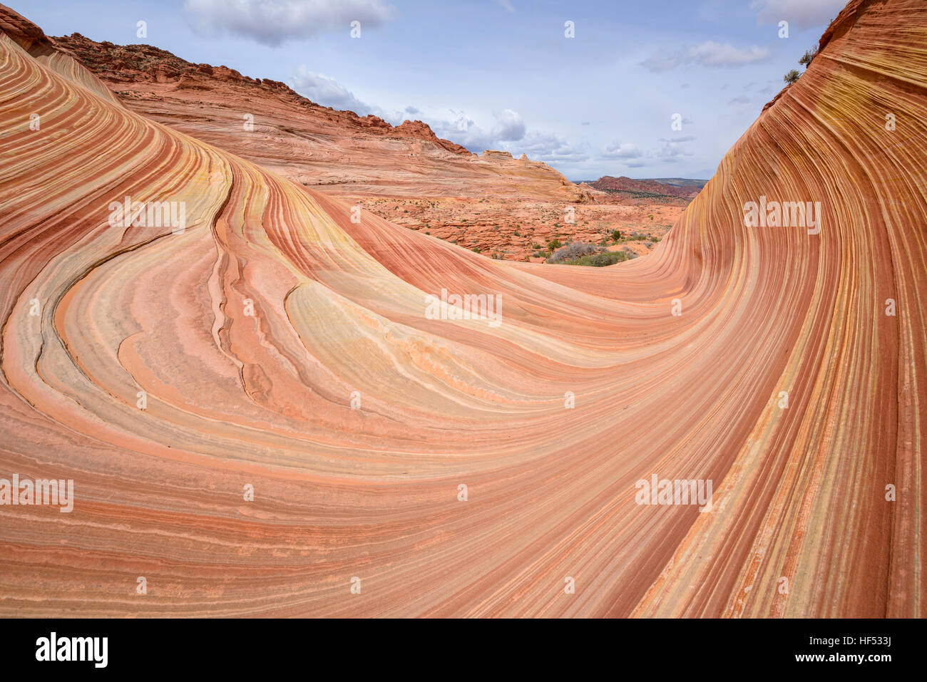 Remolinos de Rock - Curvy coloridas y rocas de piedra arenisca en la ola, una espectacular formación rocosa arenisca de erosión, Arizona-Utah, EE.UU. Foto de stock