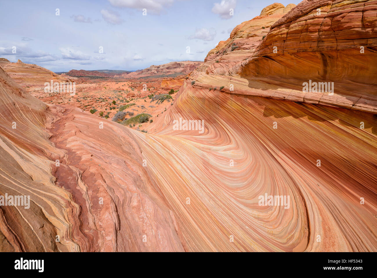 Las capas de color - las capas de las rocas de piedra arenisca coloridas en la ola, una espectacular formación rocosa arenisca de erosión, Utah, EE.UU.. Foto de stock