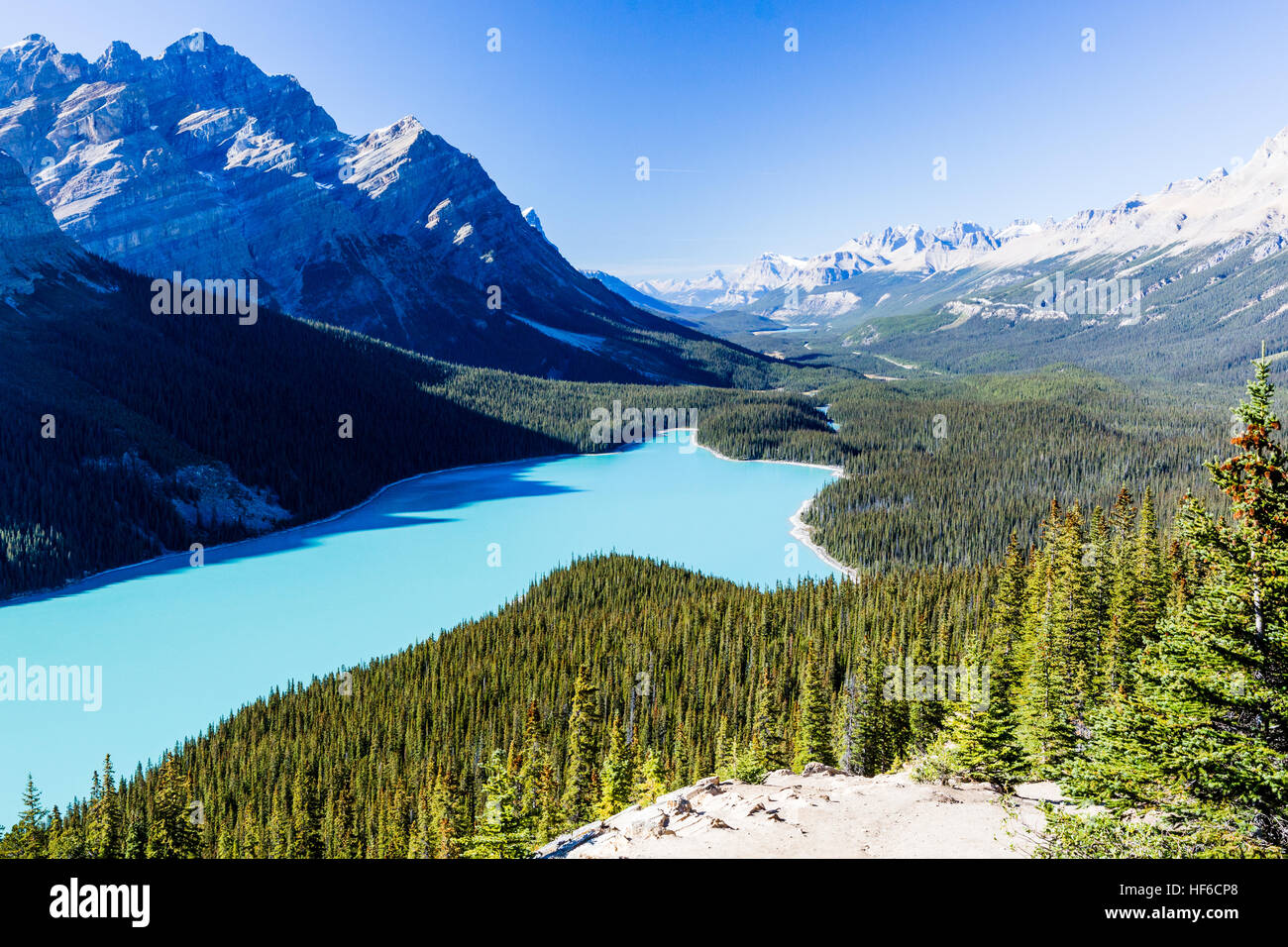 Lago Peyto es un lago del glaciar ubicado en el Parque Nacional de Banff en las Montañas Rocosas Canadienses. El lago en sí es fácilmente accesible desde la carretera Icefields Parkway Foto de stock