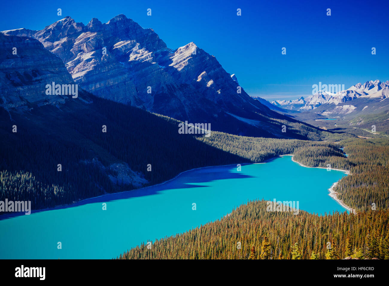 Lago Peyto es un lago del glaciar ubicado en el Parque Nacional de Banff en las Montañas Rocosas Canadienses. El lago en sí es fácilmente accesible desde la carretera Icefields Parkway Foto de stock