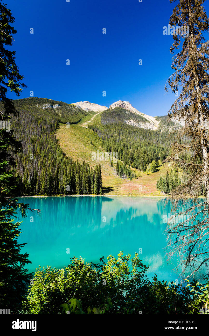 Emerald Lake está ubicado en el Parque Nacional Yoho, British Columbia, Canadá. Es el más grande de Yoho's 61 lagos y estanques, así como uno de los del parque. Foto de stock
