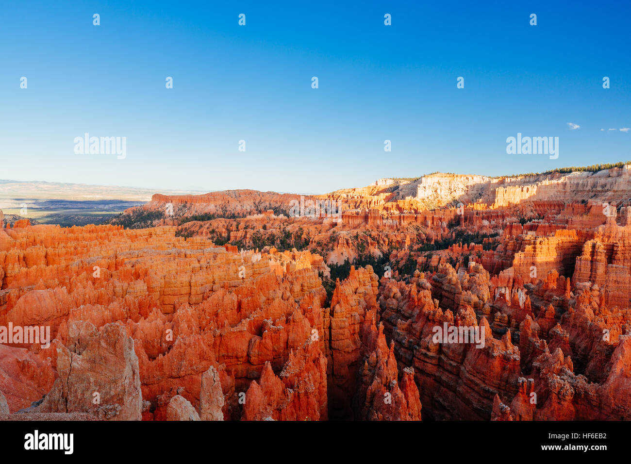 Bryce Canyon es una colección de anfiteatros naturales aparte del Paunsaugunt Plateau. Bryce es distintivo debido a las estructuras geológicas llamado hoodo Foto de stock