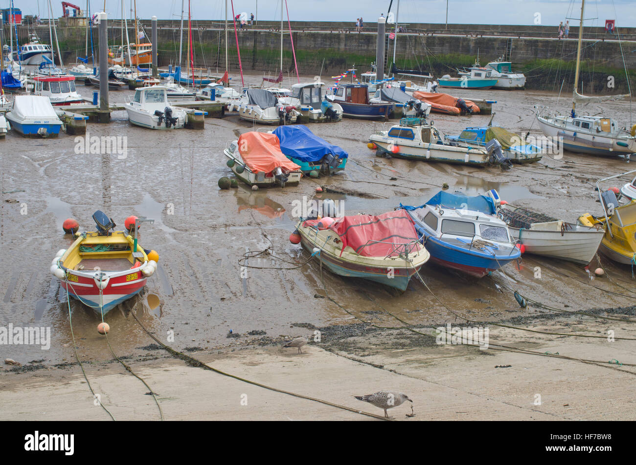 Barro en bajamar Bridlington Harbour, East Yorkshire coast UK Foto de stock