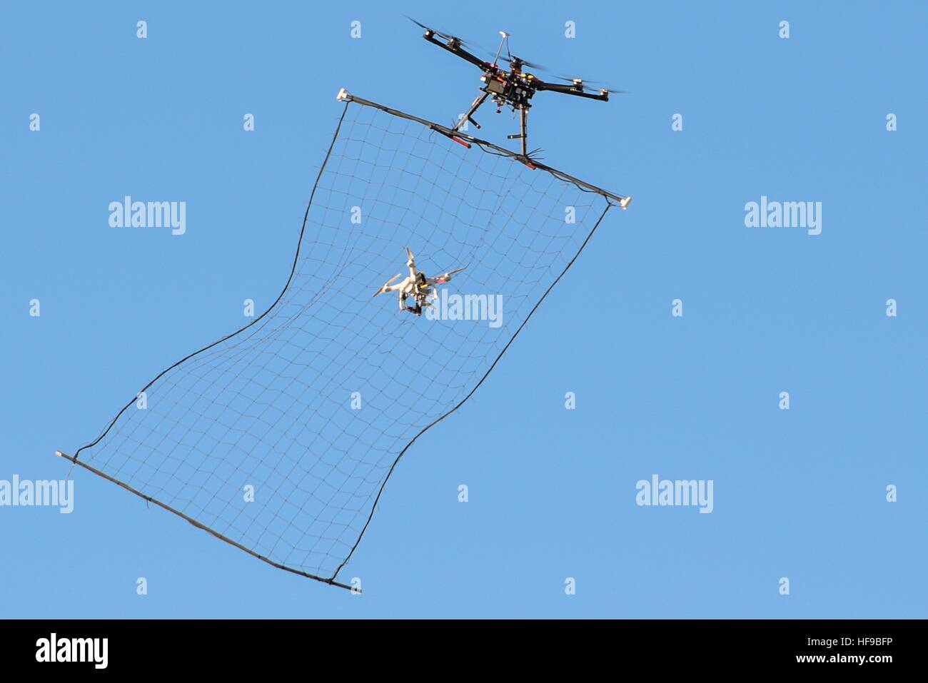 Un sistema aéreo no tripulado de cazadores-asesinos drone capta un maniquí 3 drone en su red a mitad de vuelo durante el Laboratorio de Investigación de la Fuerza Aérea de los comandantes en el Reto Nevada Sitio de Seguridad Nacional el 13 de diciembre de 2016 en Las Vegas, Nevada. Foto de stock