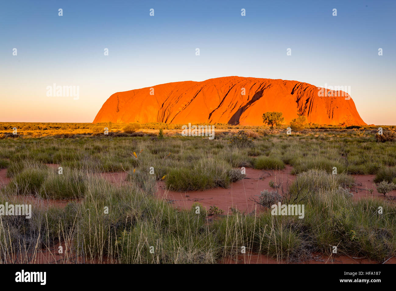 Uluru, centro rojo, el Territorio del Norte, Australia. Foto de stock