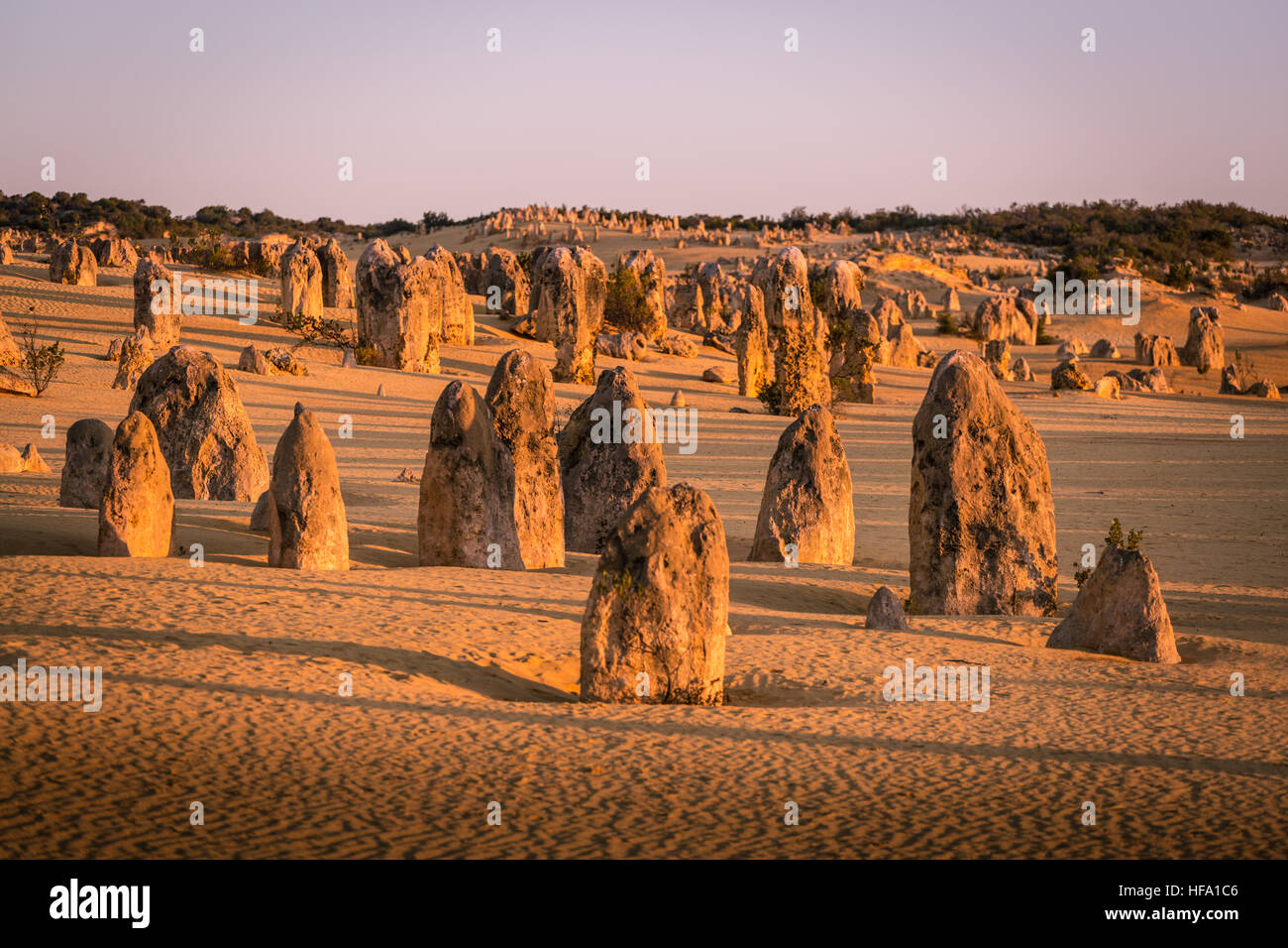 El Desierto de los pináculos, Australia Occidental Foto de stock