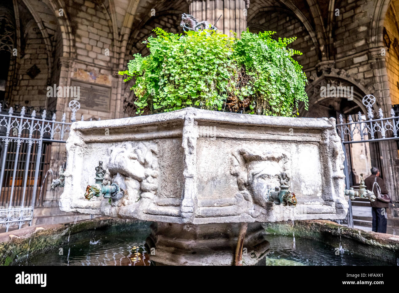 Fuente dentro de la Catedral de Barcelona planta verde patio Foto de stock