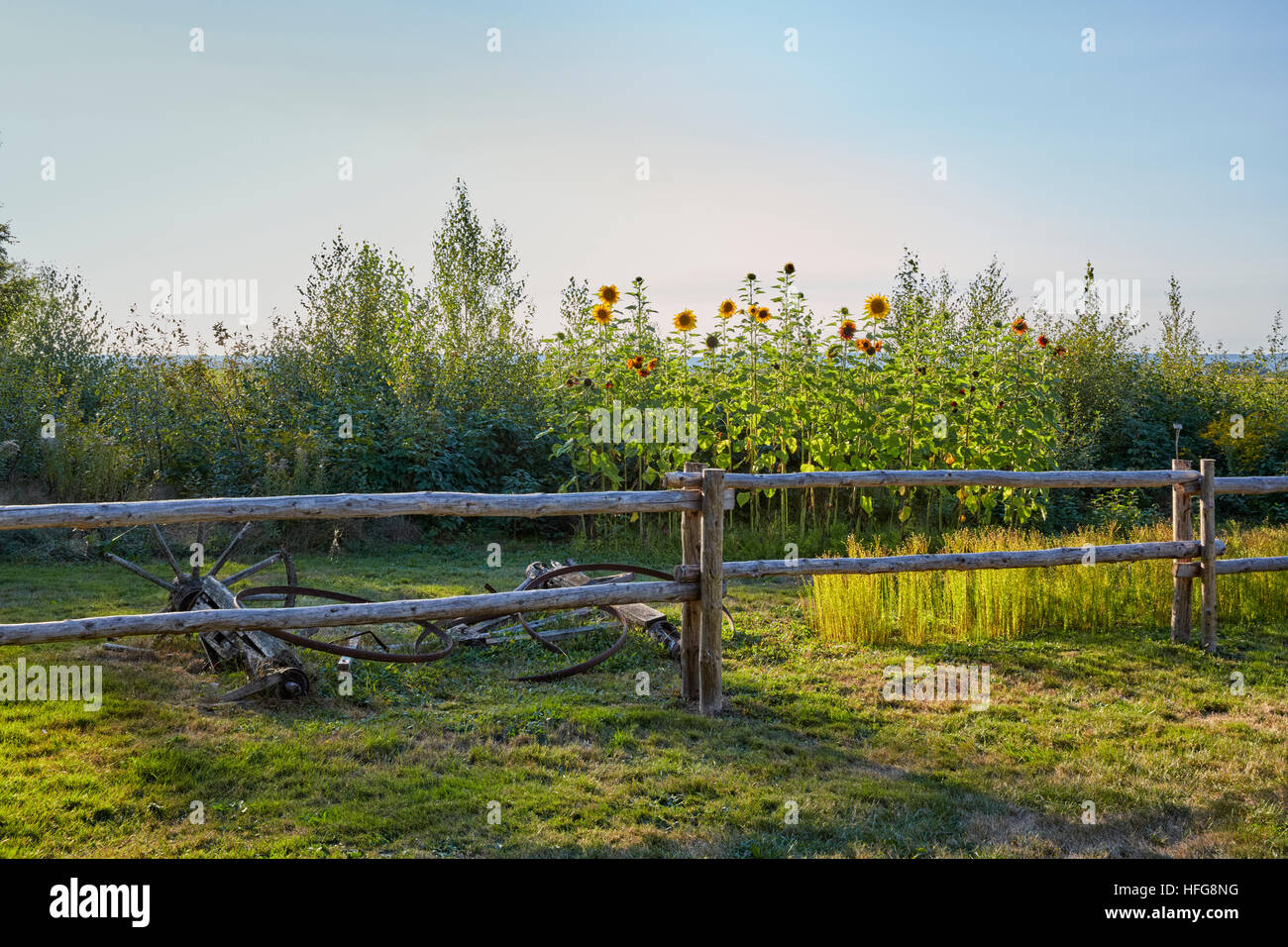 Huerta, Grand Pre, valle de Annapolis, Nova Scotia, Canadá Foto de stock