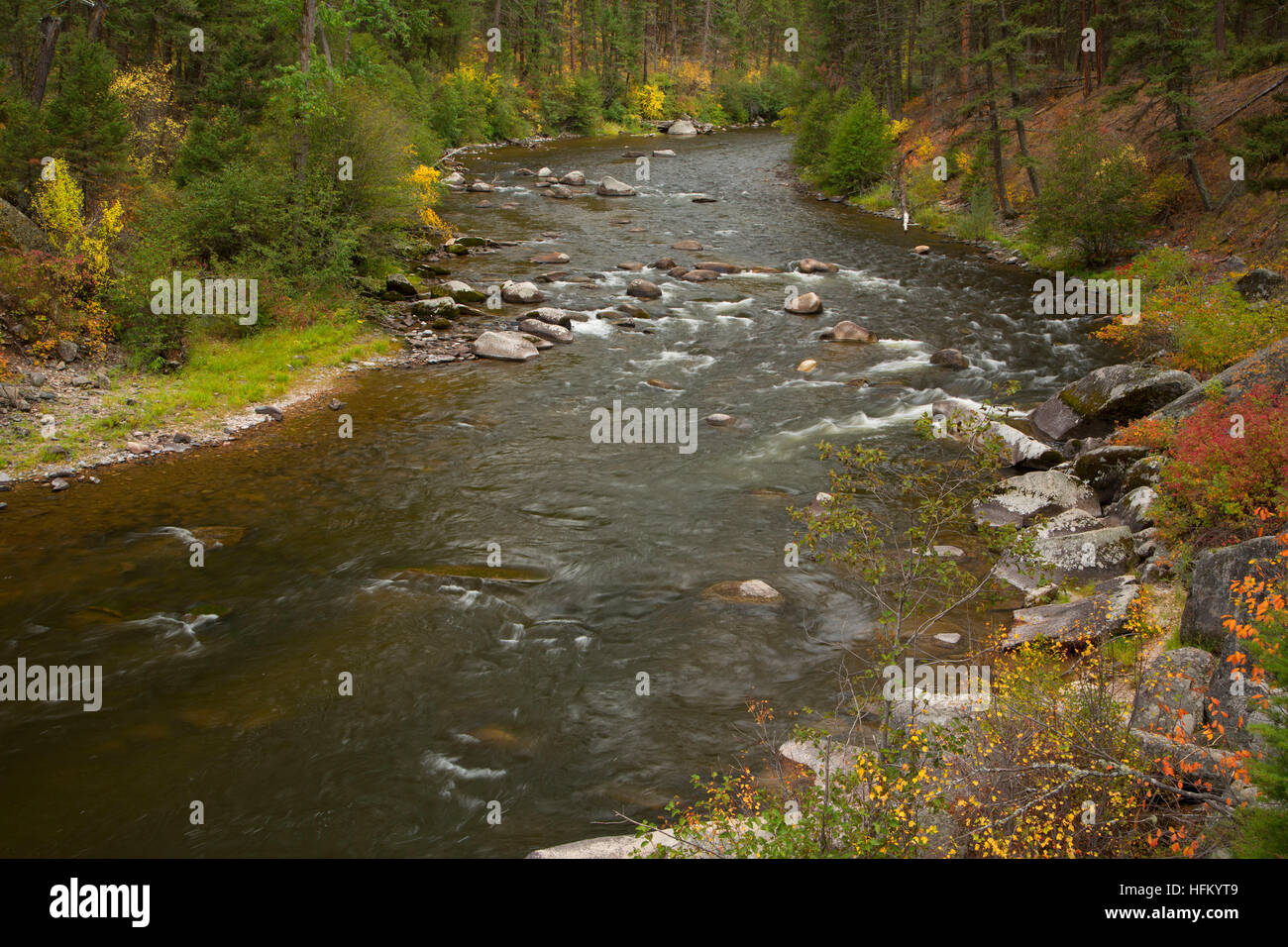 Rock Creek en el Welcome Creek de la ruta, Lolo National Forest, Montana Foto de stock