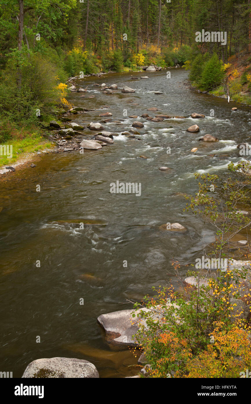 Rock Creek en el Welcome Creek de la ruta, Lolo National Forest, Montana Foto de stock