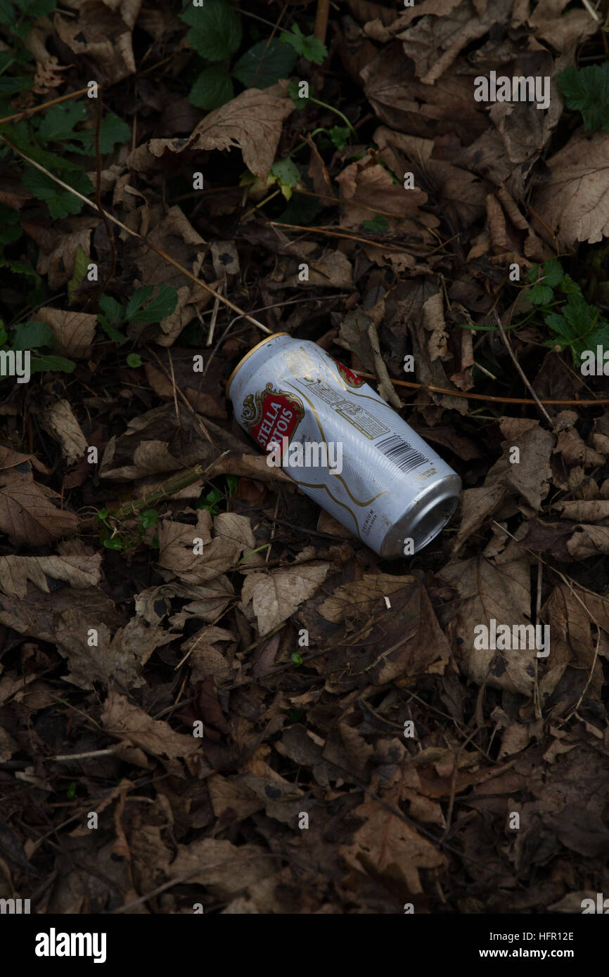 Residuos, basura, desperdicios, Lager, Stella bebidas pueden desechados, arrojados, chucked en las hojas junto a un sendero público Foto de stock