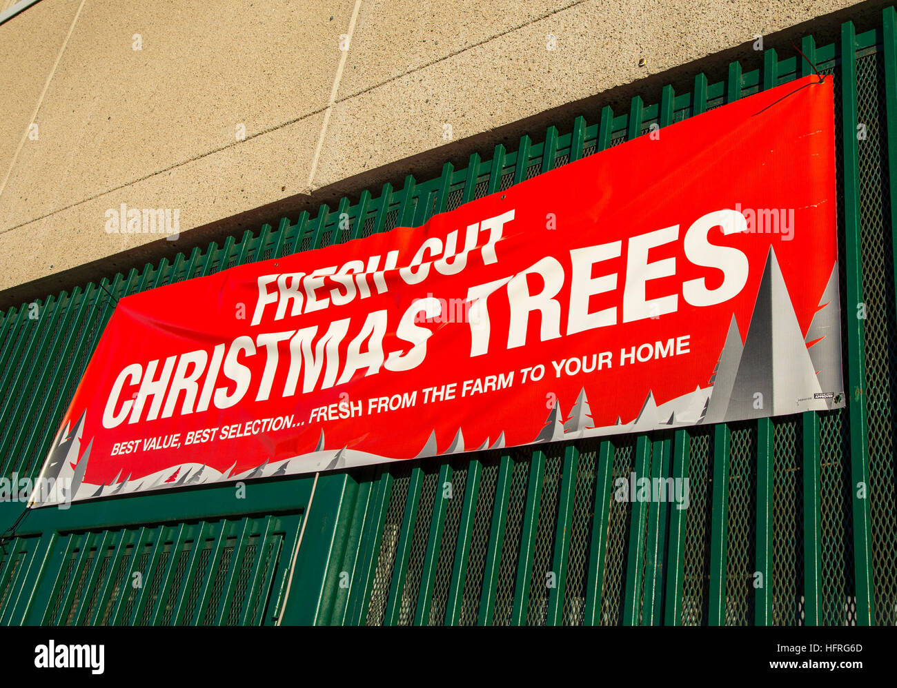 Un letrero en un Home Depot venta de árboles de Navidad Fotografía de stock  - Alamy