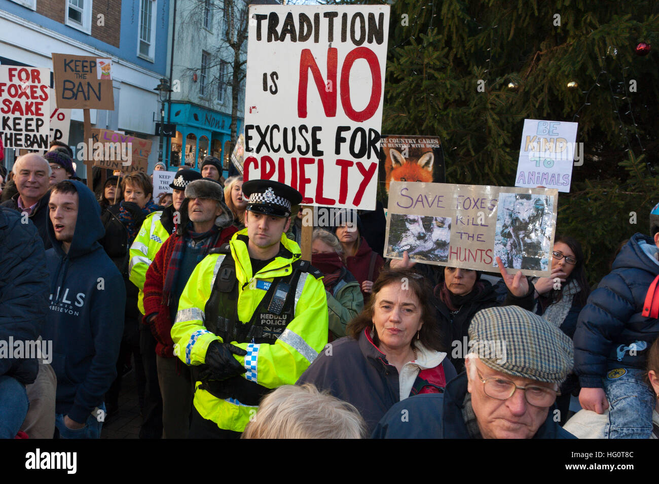 En Carmarthen, Carmarthenshire, Gales, Reino Unido. 2 de enero de 2016. Policía mantienen hunt partidarios y cazar manifestantes aparte. Activistas Anti-Bloodsport se reúnen en la ciudad galesa de Carmarthen para expresar su enojo por la persistencia de la caza ilegal con perros - Caza con perros se hizo ilegal en 2004 por la Ley de Caza de 2004 (c37). La protesta Anti-Hunt tiene lugar el mismo día en que el Carmarthenshire Hunt han elegido desfilan por la ciudad para recoger dinero y apoyo para sus deportes de sangre. © Graham M. Lorenzo/Alamy Live News. Foto de stock