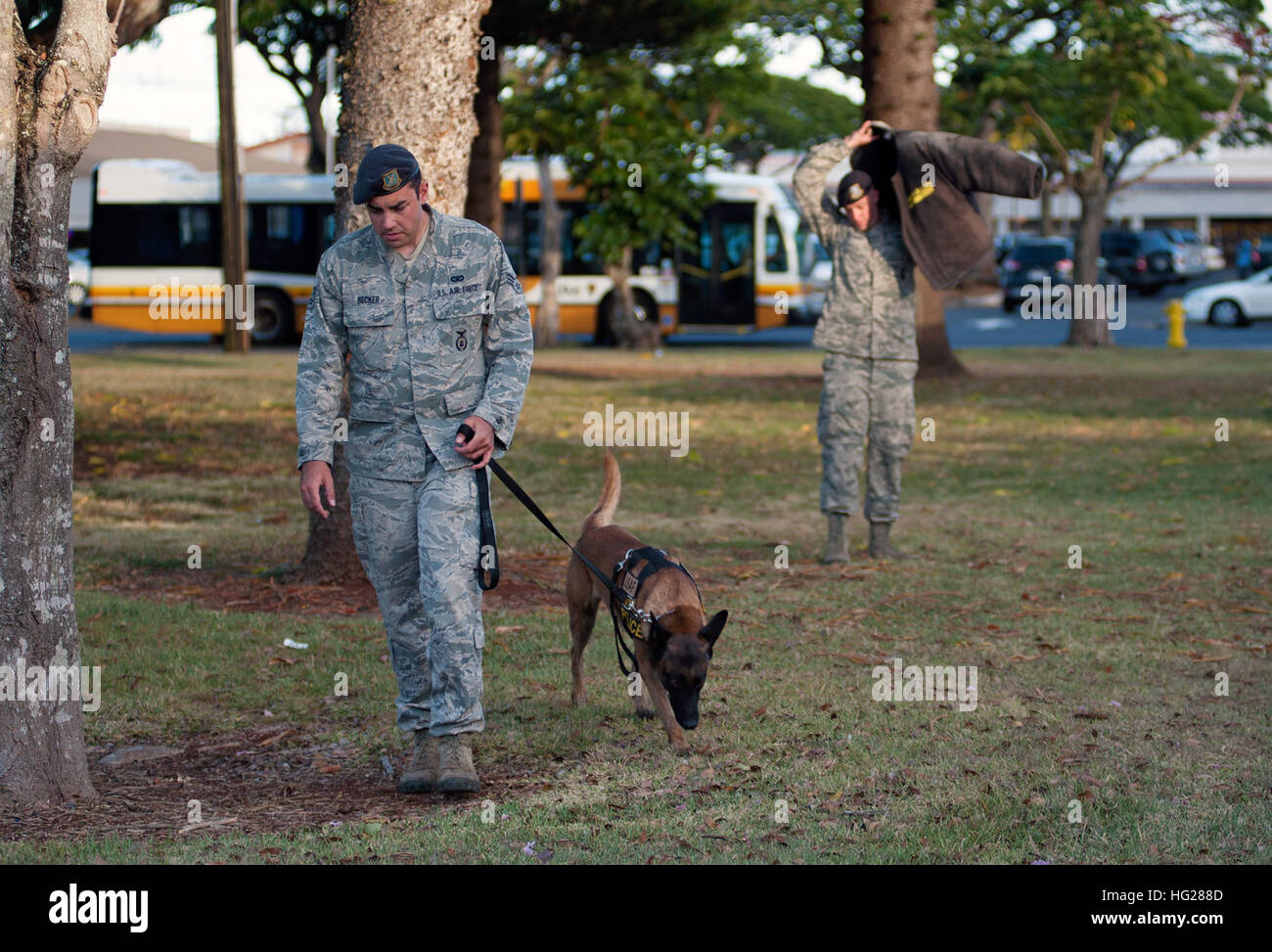 Programa de perros de trabajo militar fotografías e imágenes de alta  resolución - Alamy