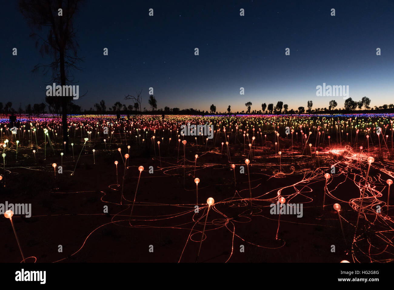 Campo de luz del artista Bruce Monro en Ayers Rock/Uluru, Australia tiene miles de luces de colores Foto de stock