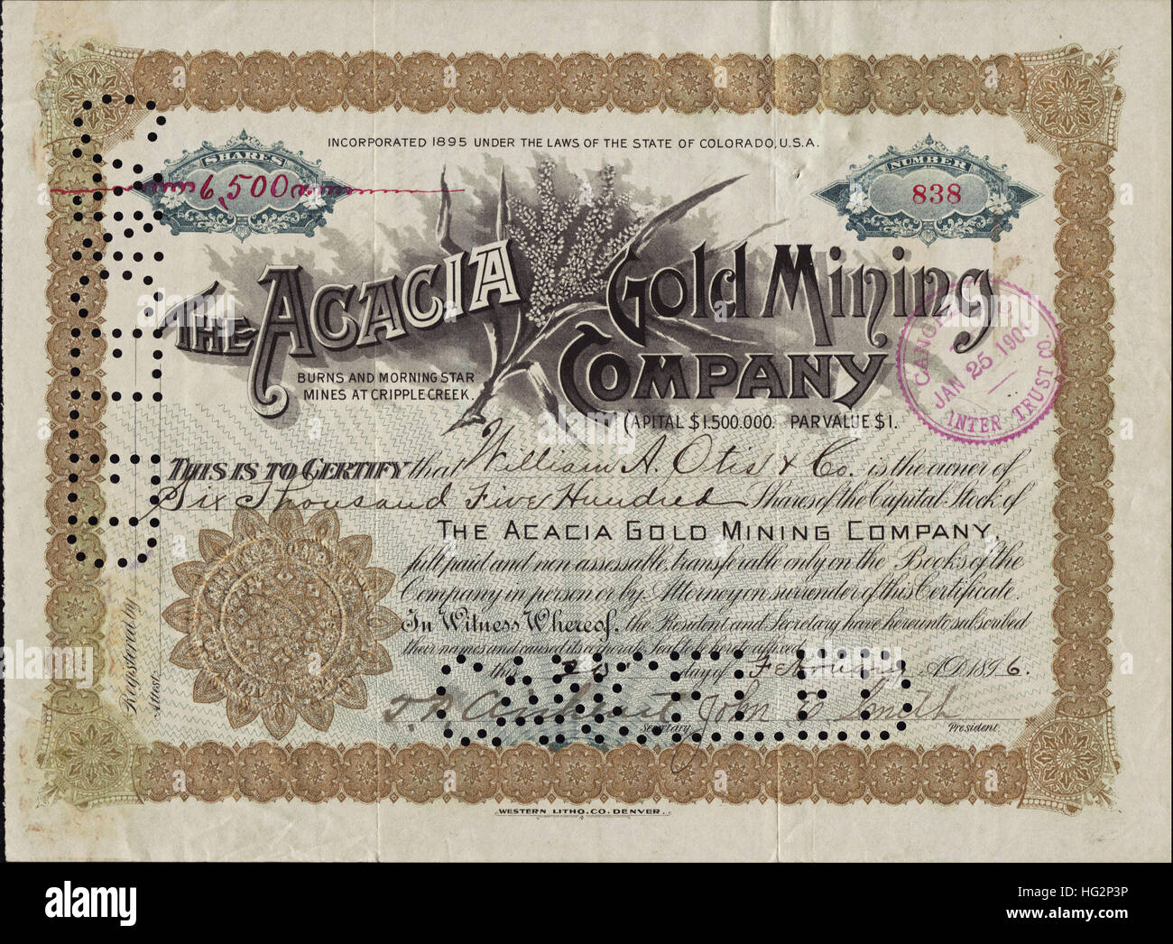 1896 Acacia Gold Mining Company Certificados Bursátiles - quemaduras y Estrella de la mañana minas - Cripple Creek, Colorado - USA Foto de stock