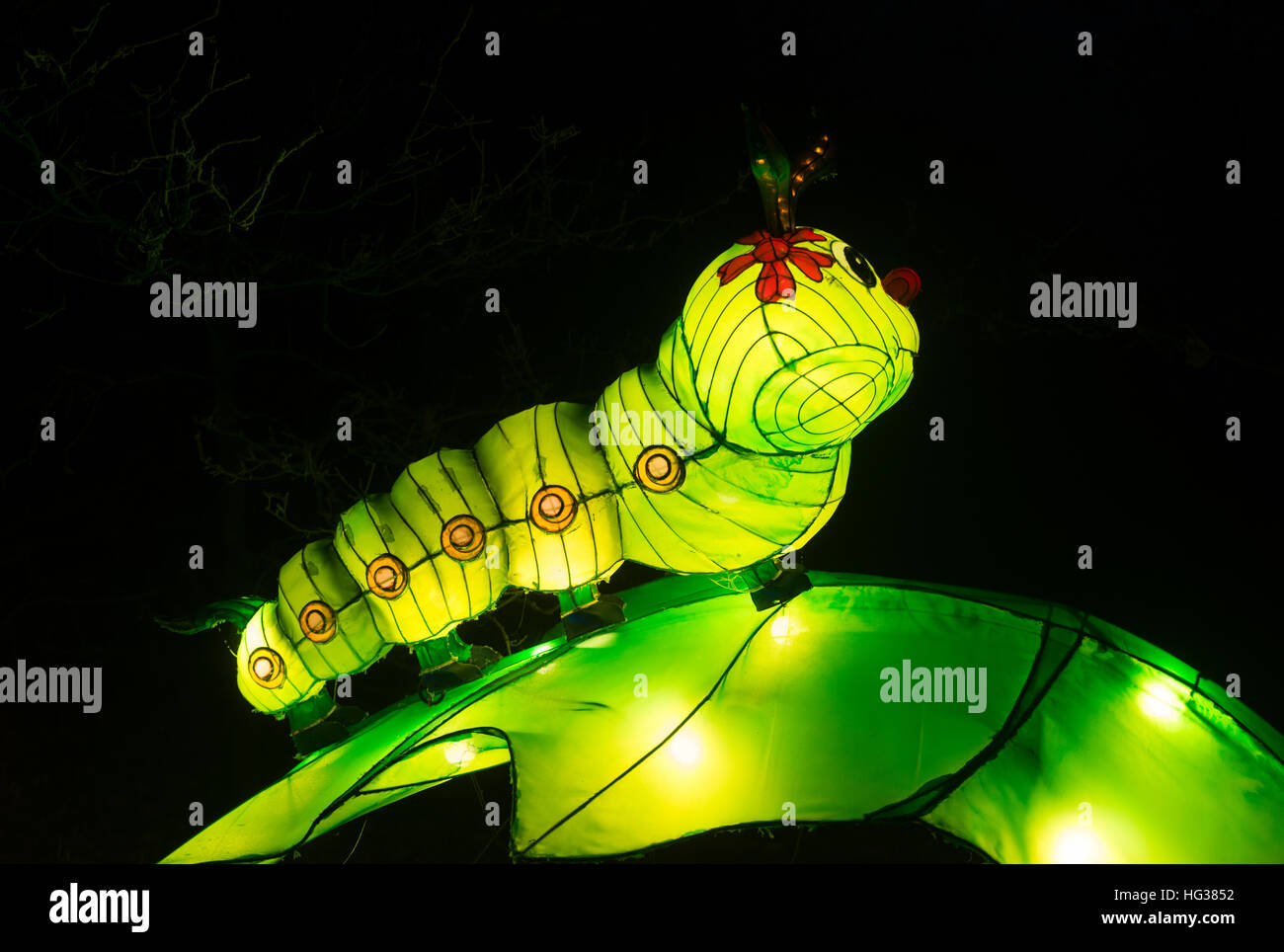 BEEKSE BERGEN, Holanda - 29 de diciembre de 2016:light festival africano con Caterpillar en lleno de luces en Beekse bergen el 29 de diciembre de este festi Foto de stock