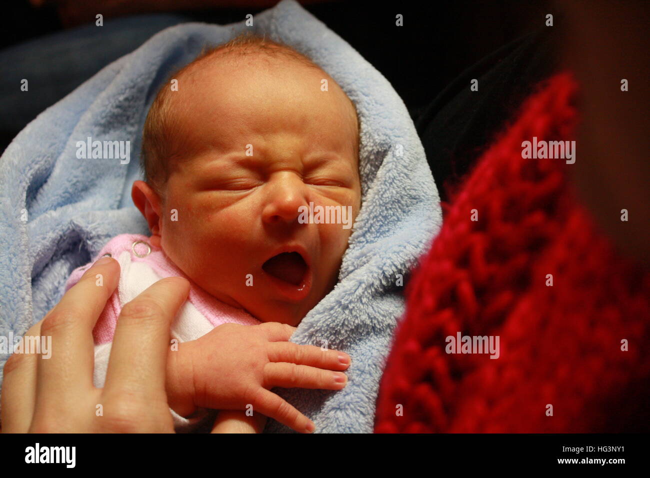 Mi hijo, recién nacido, hijo, vida, vida nueva, el amor, la familia, el Niño, el niño nacido, Angel, poco, lindo, Blueeyes, rubio, niño, joven, dulce, Foto de stock