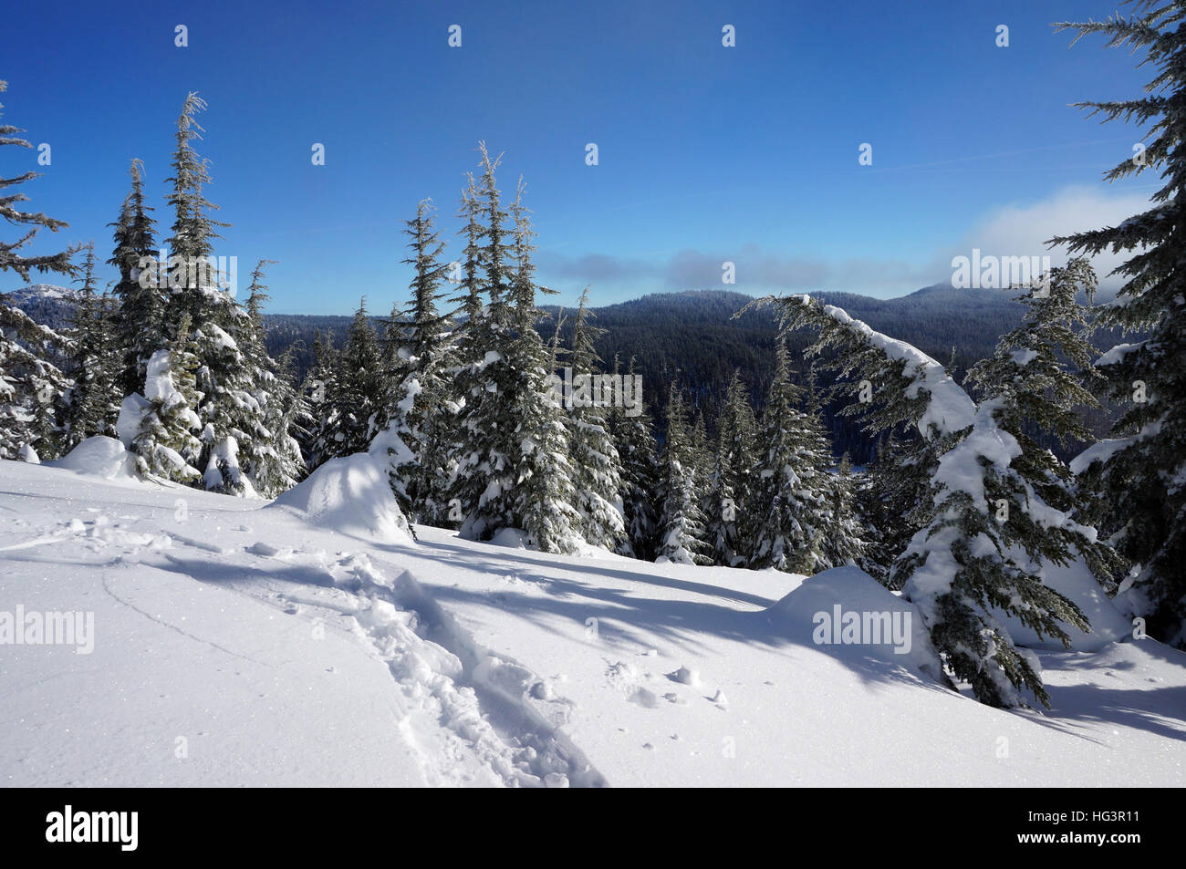 Ski en Todd Ridge cerca de Mount Bachelor en Oregon Foto de stock