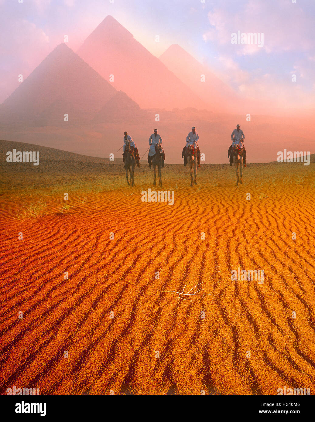 Pirámides y cuatro jinetes de camellos al amanecer, en Giza, Cairo, Egipto Foto de stock