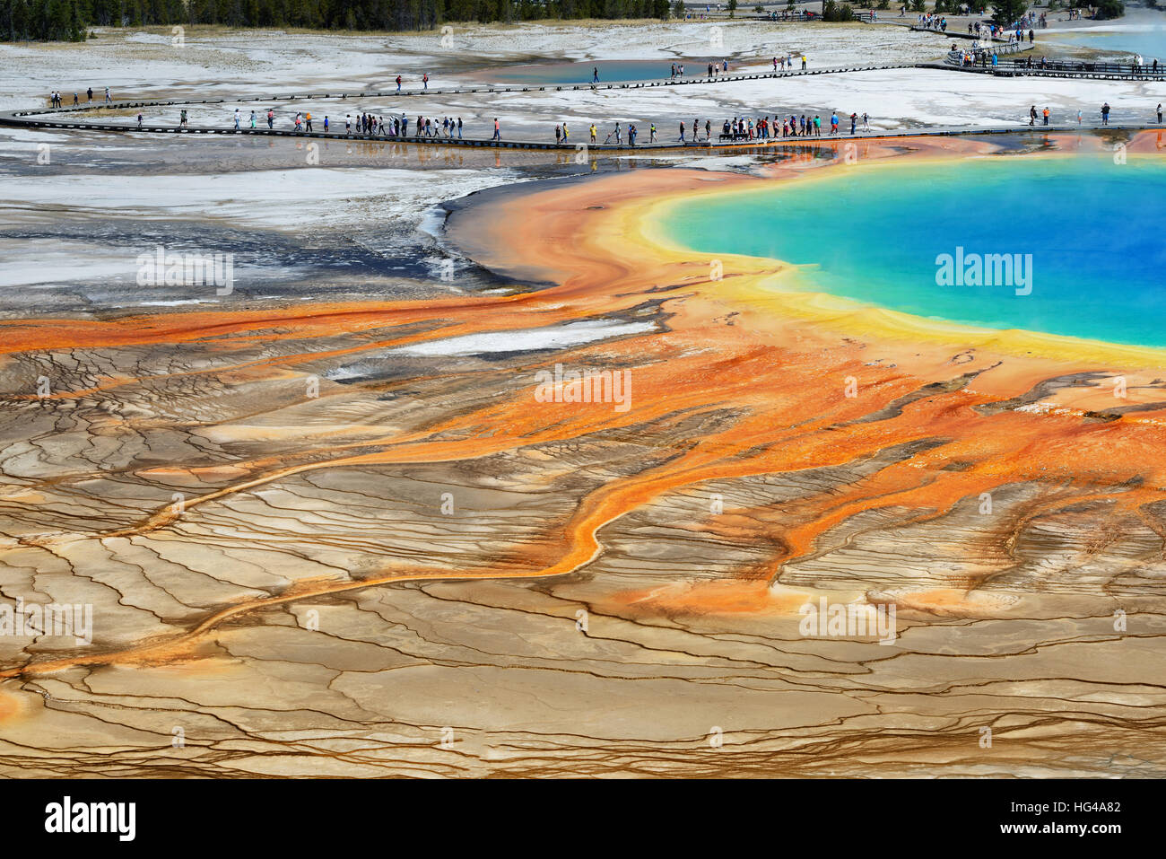 Famoso rastro de Grand Prismatic Springs en el Parque Nacional de Yellowstone desde un alto ángulo de visualización. Hermosas termas con vivos colores azul verde naranja i Foto de stock