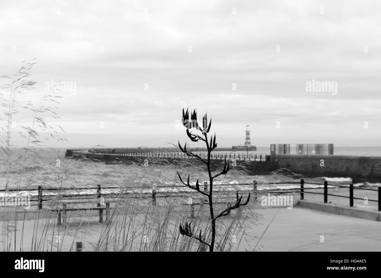 Roker Pier y el faro (1903) en Roker, Sunderland Foto de stock