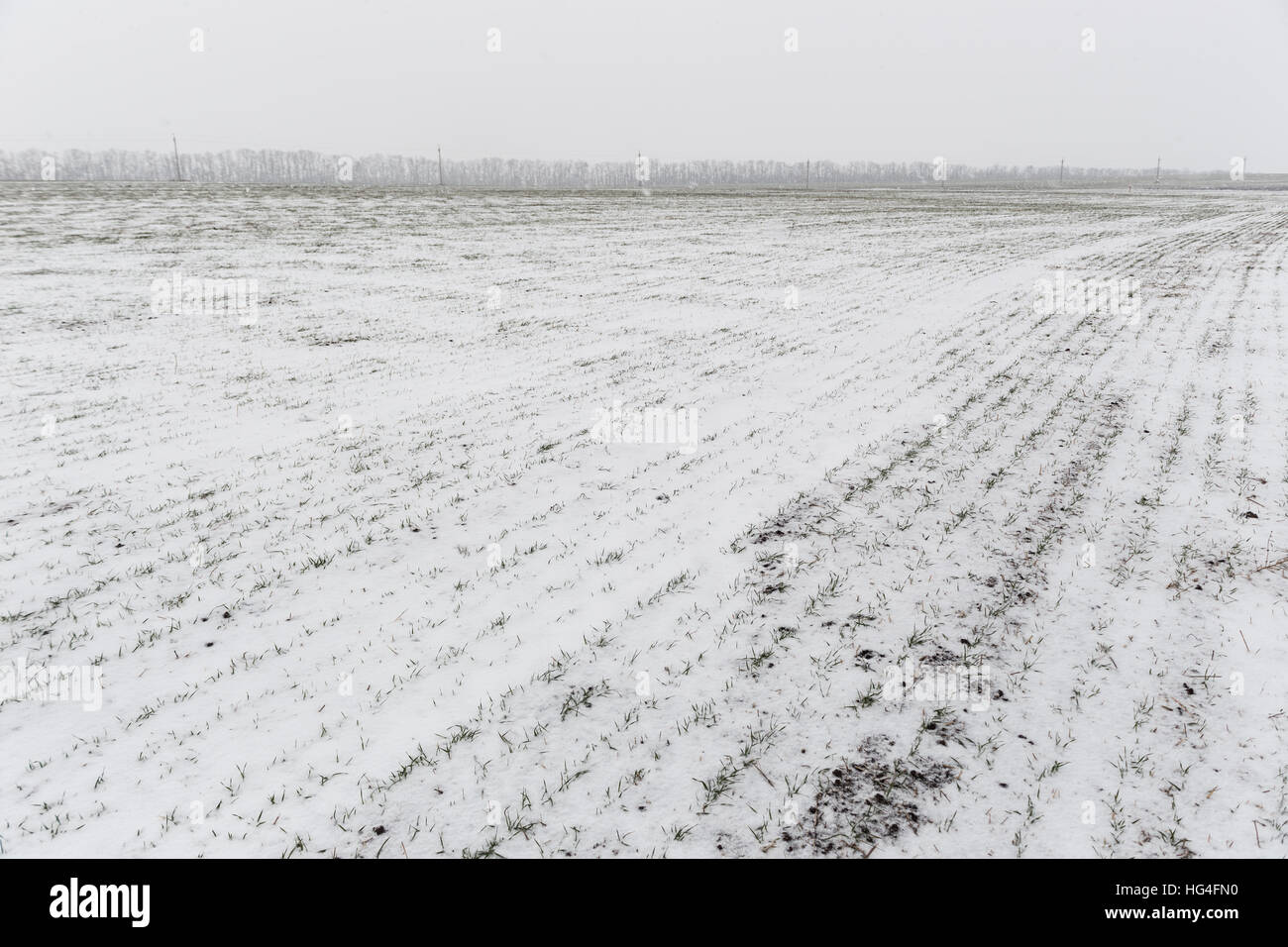 Paisaje invernal con la nieve que cubre el paisaje. Foto de stock