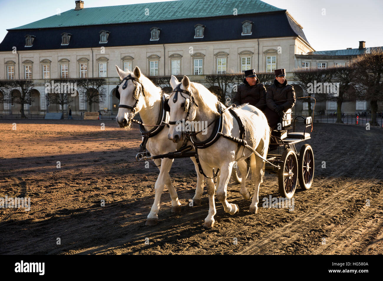 Dinamarca, Copenhague, Christiansborg Palace, ejercer el transporte de caballos en el patio del palacio Foto de stock