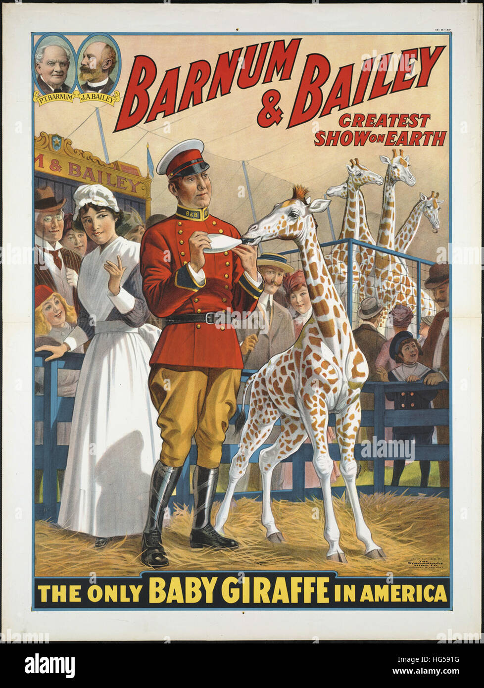 - Cartel de Circo Barnum & Bailey mayor espectáculo de la tierra   El único bebé jirafa en América Foto de stock