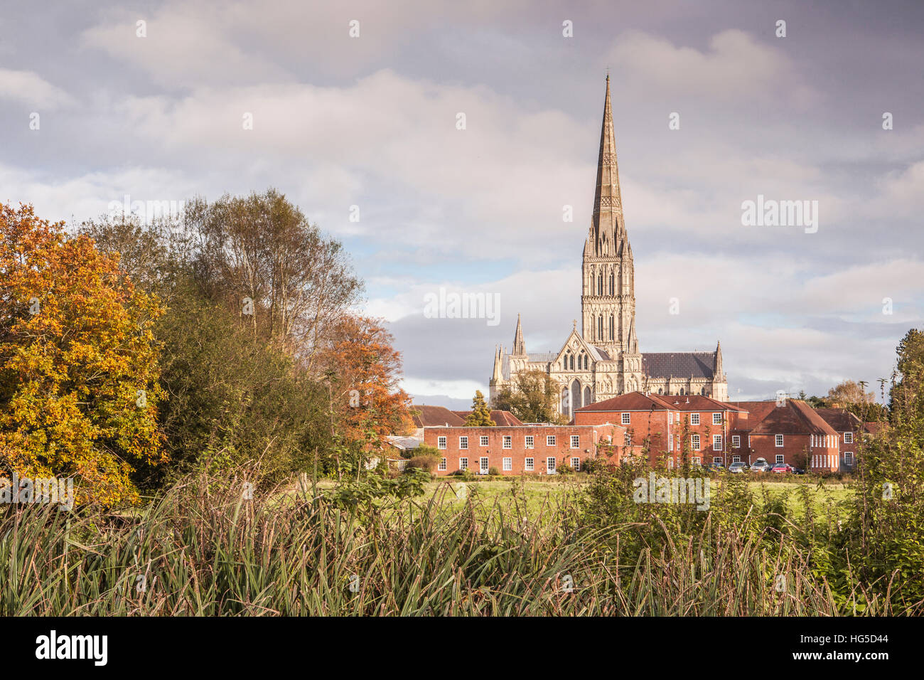 La Catedral de Salisbury desde el oeste agua Harnham Meadows, Salisbury, Wiltshire, Inglaterra, Reino Unido Foto de stock