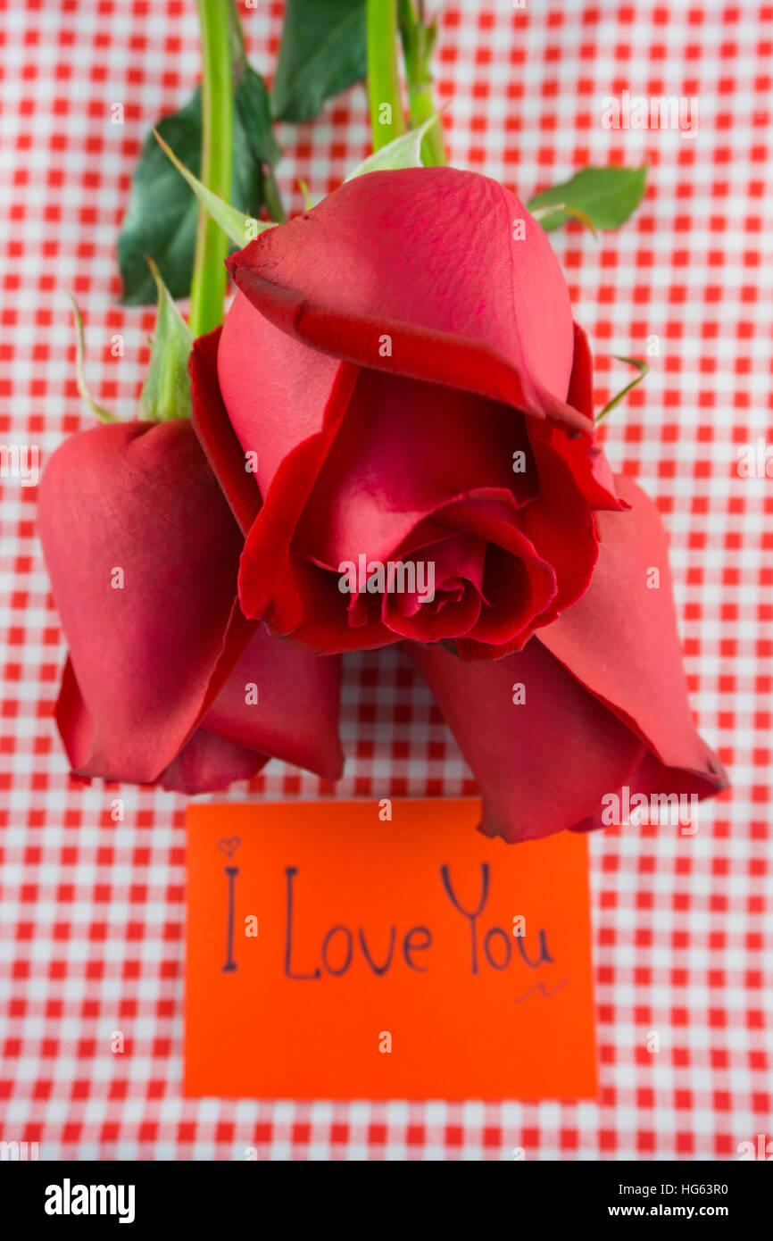 Rosa roja con el mensaje de la tarjeta. Imagen del día de San Valentín. Foto de stock