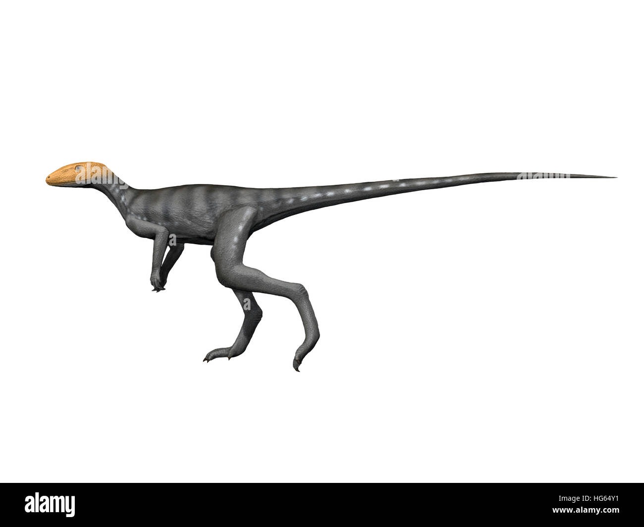 Dinosauriformes fotografías e imágenes de alta resolución Alamy