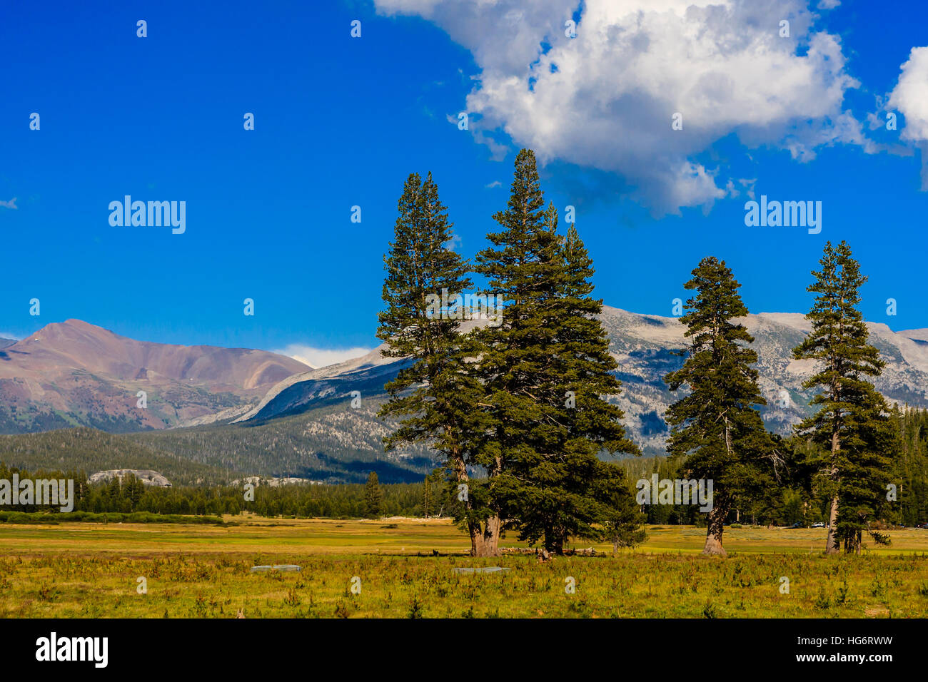 Tioga Pass es un paso de montaña en las montañas de Sierra Nevada. La ruta estatal 120 funciona a través de él, y sirve como punto de entrada oriental de Yosemite Nati Foto de stock