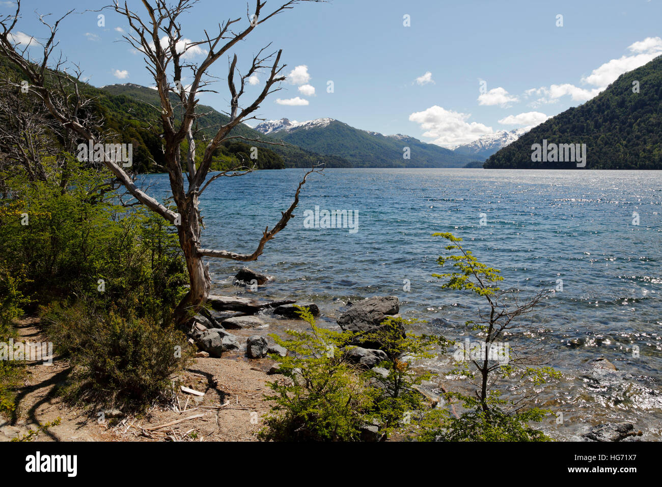 Lago Hermoso a lo largo de la unidad de los Siete Lagos, el Parque Nacional Nahuel Huapi, el Lake District, Argentina, Sudamérica Foto de stock