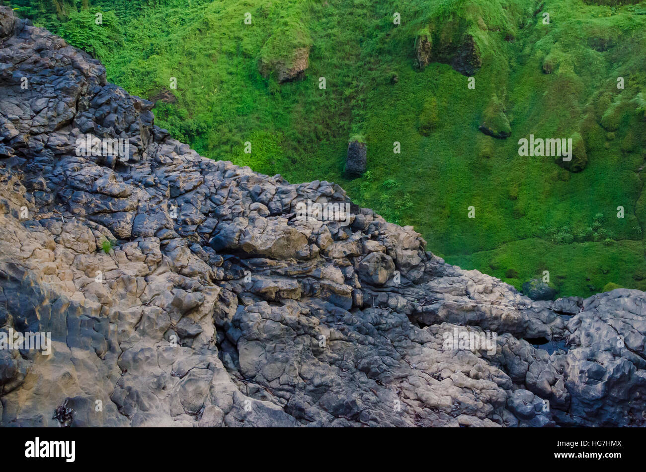 Contraste entre el verde musgo y hierba y Acantilado de roca marrón profundo en la selva de Camerún, África Foto de stock