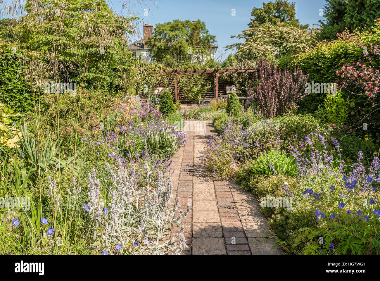 Jardín perfumado en el Jardín Botánico de la Universidad de Cambridge, Inglaterra, Reino Unido Foto de stock