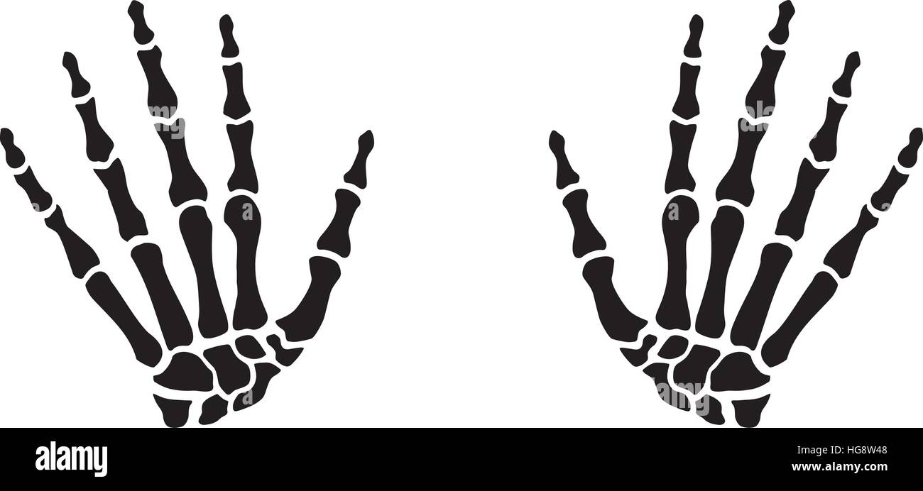 Manos de esqueleto Imagen Vector de stock Alamy