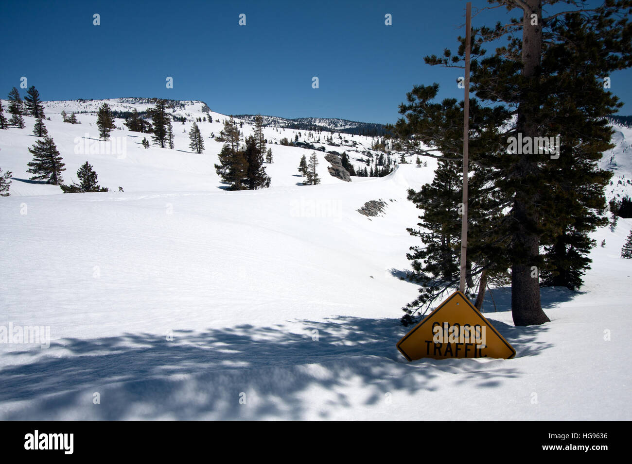Camino cubierto de nieve, el Parque Nacional Yosemite Foto de stock